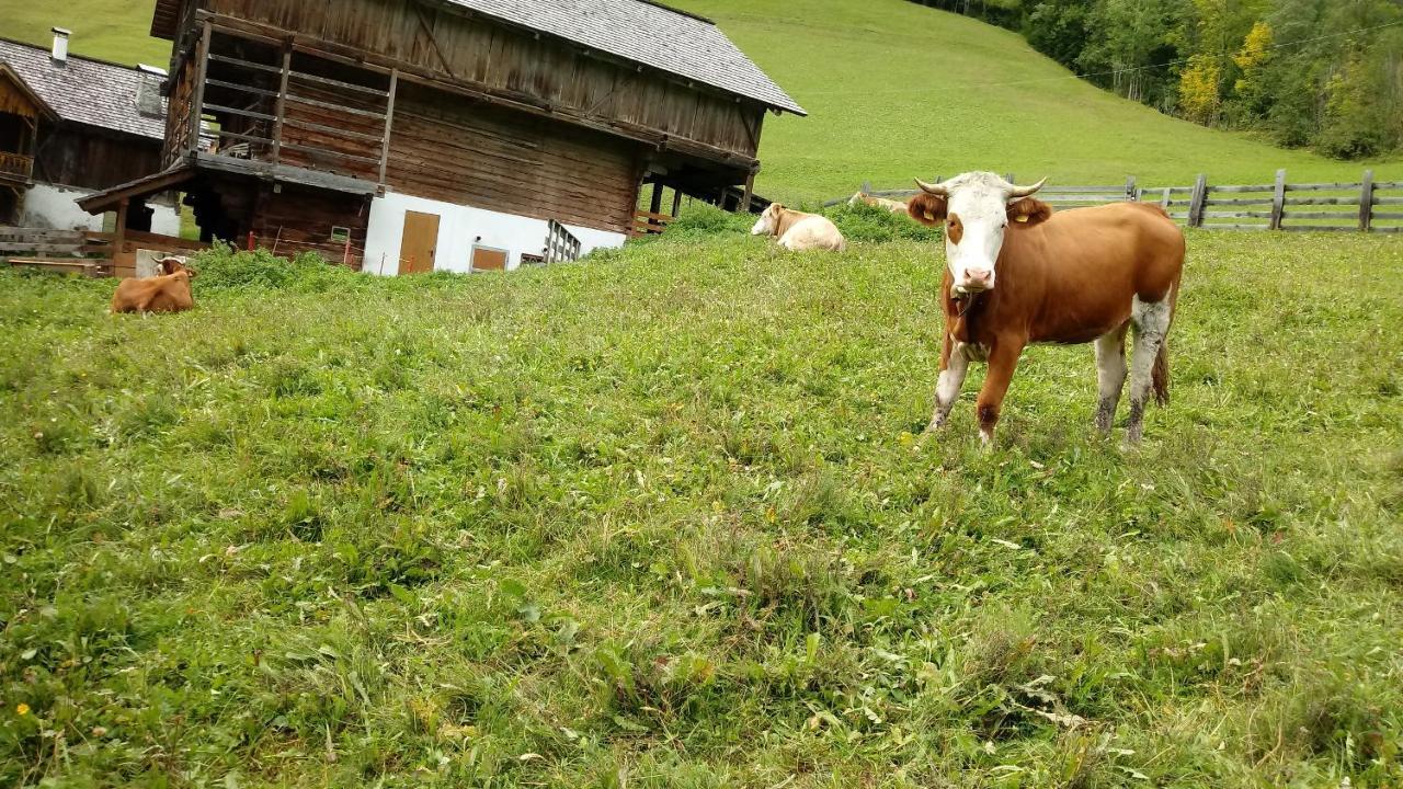 Agriturismo La Flu Sankt Martin in Thurn Exterior foto