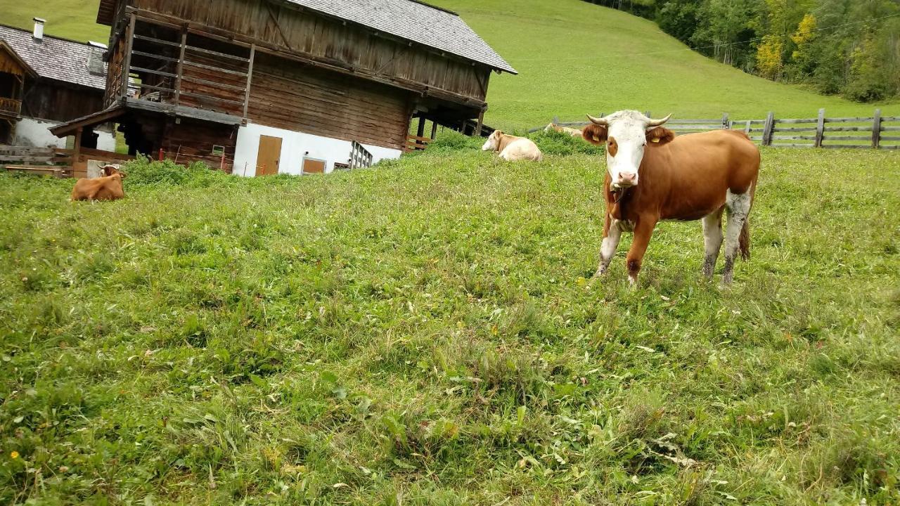 Villa Agriturismo La Flu Sankt Martin in Thurn Exterior foto