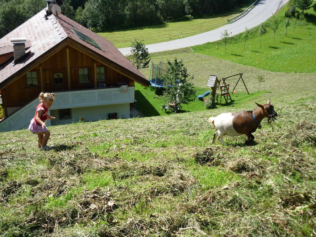 Agriturismo La Flu Sankt Martin in Thurn Exterior foto